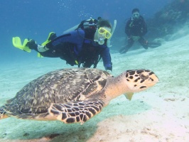 Jeremiah, Eloise with Hawksbill Sea Turtle IMG 9601